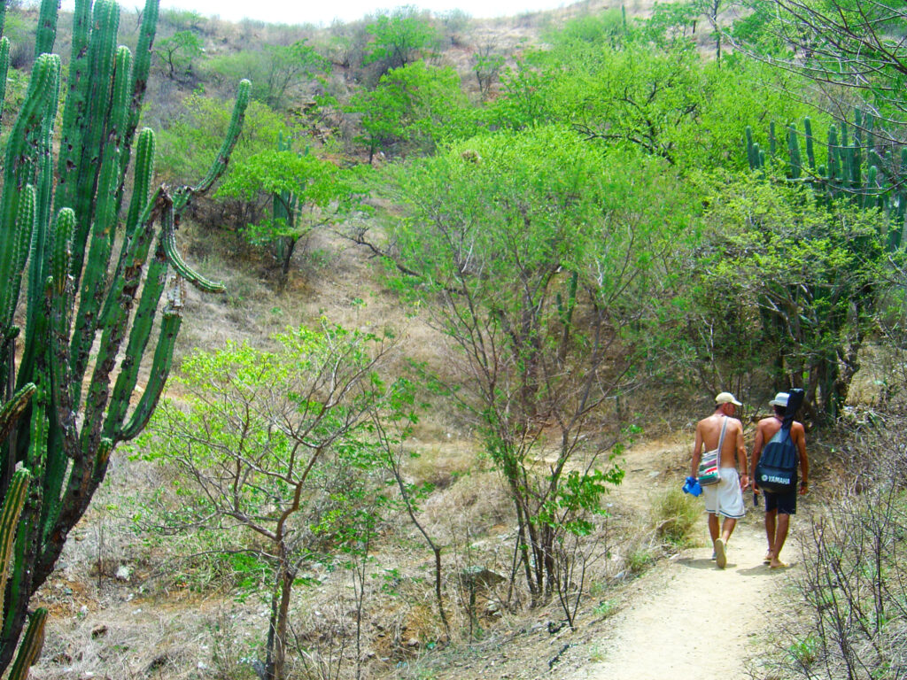 Que hacer en Taganga