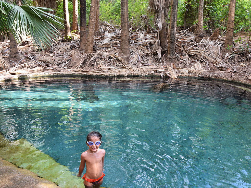 Mataranka termal pool