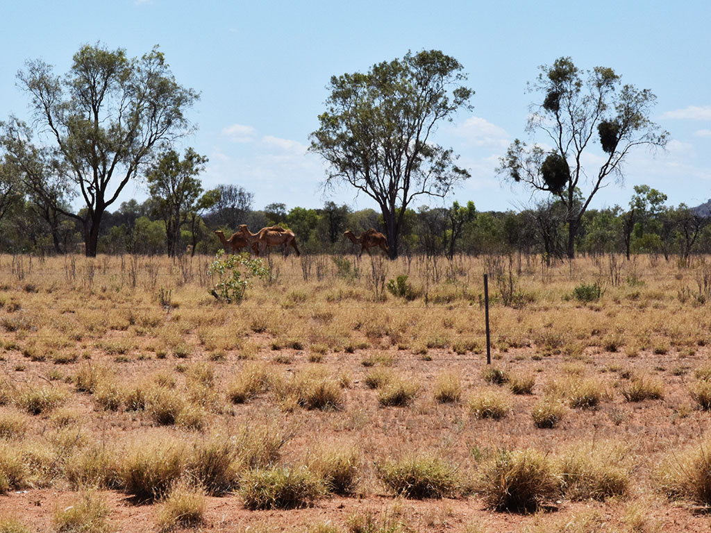 Stuart Highway desde Darwin hasta Port Augusta